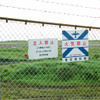 三宅島への航空路線再開