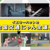 猫専用の交通安全動画