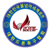 韓国ドローンサッカー協会 ロゴ