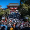 鎌倉市内、鶴岡八幡宮