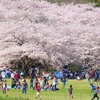 国営昭和記念公園（東京都）　(AC)