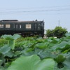 人吉駅に集まるJR九州の観光列車、かわせみやませみ　(AC)