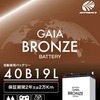 GAIA BRONZE