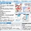 道の駅「摩周温泉」を拠点としたストレスフリーな観光地域づくりの2018年度取り組みの概要