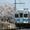 大鰐線の7000系電車。