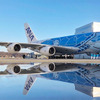 ANA A380 FLYING HONU