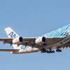 ANA A380 FLYING HONU