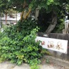 開き開きに訪れたが、先客もいて、後からも利用者が目白押しだった。ゆっくりと漬かれるぬるめのお湯が魅力だ。