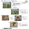 上戸彩「損保ジャパンダ」が着ぐるみ犬と