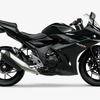 スズキ GSX250R パールネブラーブラック