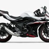 スズキ GSX250R パールグレッシャーホワイトNo.2/パールネブラーブラック