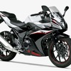 スズキ GSX250R パールグレッシャーホワイトNo.2/パールネブラーブラック