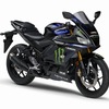 ヤマハ YZF-R25 ABS モンスターエナジーヤマハ MotoGPエディション