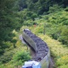 室蘭本線を走る函館～札幌間の特急『スーパー北斗』。JR北海道の運賃は消費税率転嫁分以上の値上げとなるが、特急料金を含む料金については、消費税率転嫁分に留められることになった。