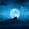 感動 NIGHT AQUARIUM