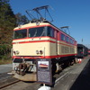 E31（西武秩父線開通50周年記念車両基地まつり in 横瀬）