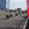 第39回大分国際車いすマラソン　（大分市の弁天橋）