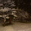 夕刻までバカっ晴れだったのに、夜9時台にふと外を見ると雪が積もっていた。新潟側ほどではないが、11月下旬でこの状態とは、三国山脈近くの雪降りパワーはなかなかのものだ。