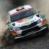 2019年のWRCにおけるピレリ装着車（WRC2への登録参戦車）。