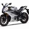 ヤマハ YZF-R25（2020年）