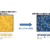 スチレンブタジエンゴム（SBR）内部の硫黄架橋の粗密観測イメージ