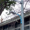 IoT街路灯実証実験