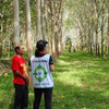 タイ・スラタニ地区での天然ゴム農園調査