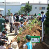 横浜ゴム、三重工場で苗木5500本を植樹