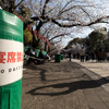 宴会禁止の東京・上野公園（3月26日）