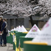 上野公園（3月28日）