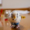 セキセイインコ ハルクインのカイちゃん