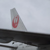 JAL「鶴丸」ラストフライト…写真蔵