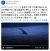 アクアマリンふくしまのTwitterより