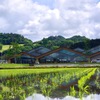 道の駅ましこ