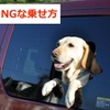 ドライブ時、正しい愛犬の乗せ方