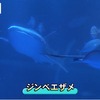 「水族館オンライン配信」を開催