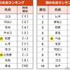 アイペット損保、「ペットの名前ランキング2020」を発表