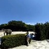 360度カメラからの映像。画質レベルがもう少しか高いと良かった