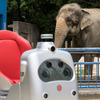 千葉市動物公園内を走るラクロ。