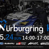 e-Nurburgring Race スクリーンキャプチャ