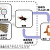 取り組みと業務提携の内容