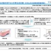 介護者なき後を見すえた日常生活支援 （在宅生活支援環境整備事業）の概要