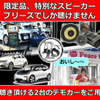6月28日(日)にブリーズ（奈良県）にてBMW&Audiに装着したDLSスピーカー試聴会開催