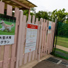 中・大型犬用ドッグラン