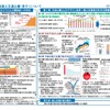 令和2年版国土交通白書の概要