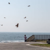 神奈川県江の島海岸（5月2日）