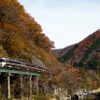 飛騨川沿いの高山本線を走る特急『（ワイドビュー）ひだ』。7月8日は始発から運休している。