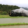 SL「やまぐち」号、牽引機はD51 200。