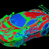 フェラーリ 488 GTE EVOの空力シミュレーション。単に空力特性を求めるのではなく、ドライバーの感覚に寄り添うことでドライバビリティの向上を実現