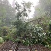 高山本線飛騨一ノ宮～高山間の被災現場。